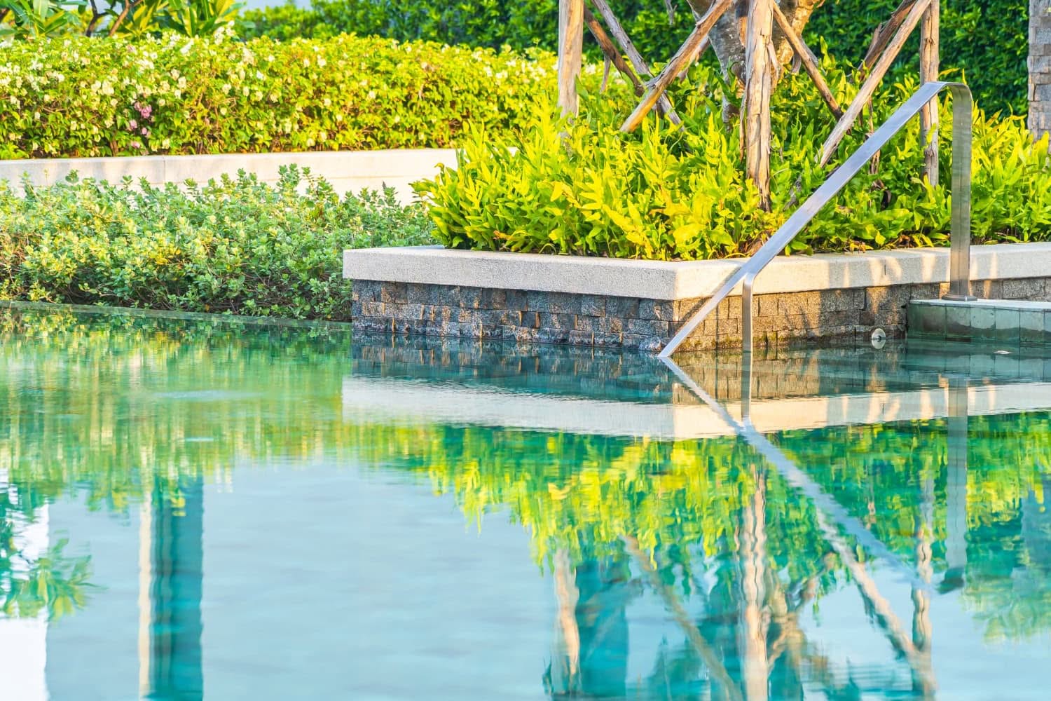 Backyard From Pool Algae