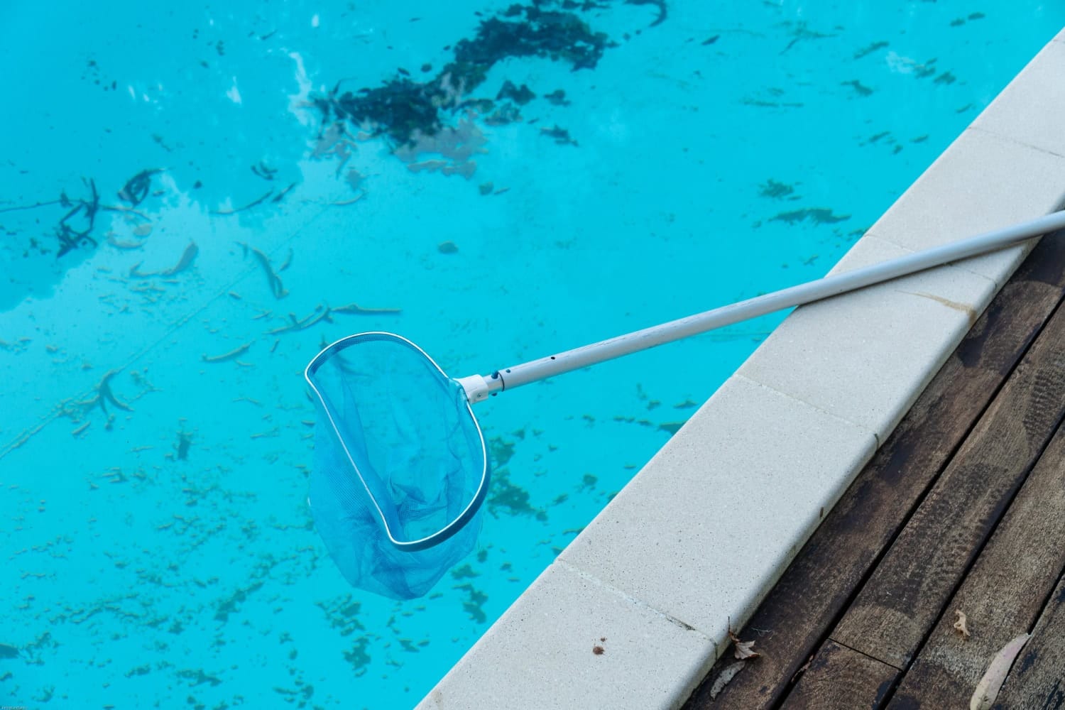 A blue pool skimmer net rests on the edge of a Corpus Christi pool, ready for summer storm cleanup with leaves and debris floating in the water.